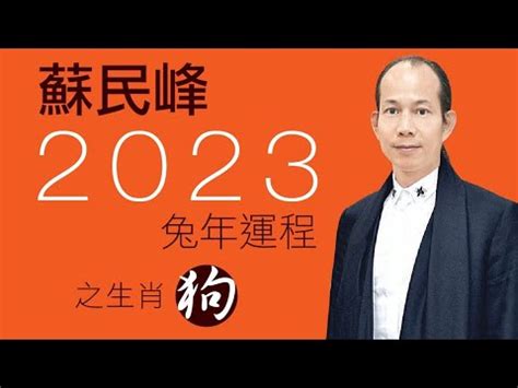 蘇民峰2023 pdf|蘇民峰2023b 